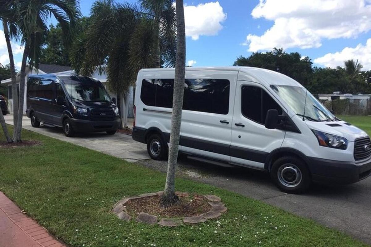 uma van branca está estacionada ao lado de uma palmeira
