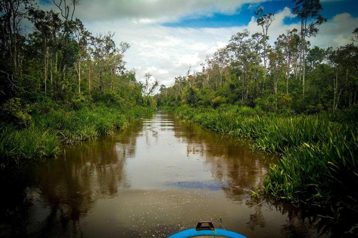 a boat on a river with trees and grass