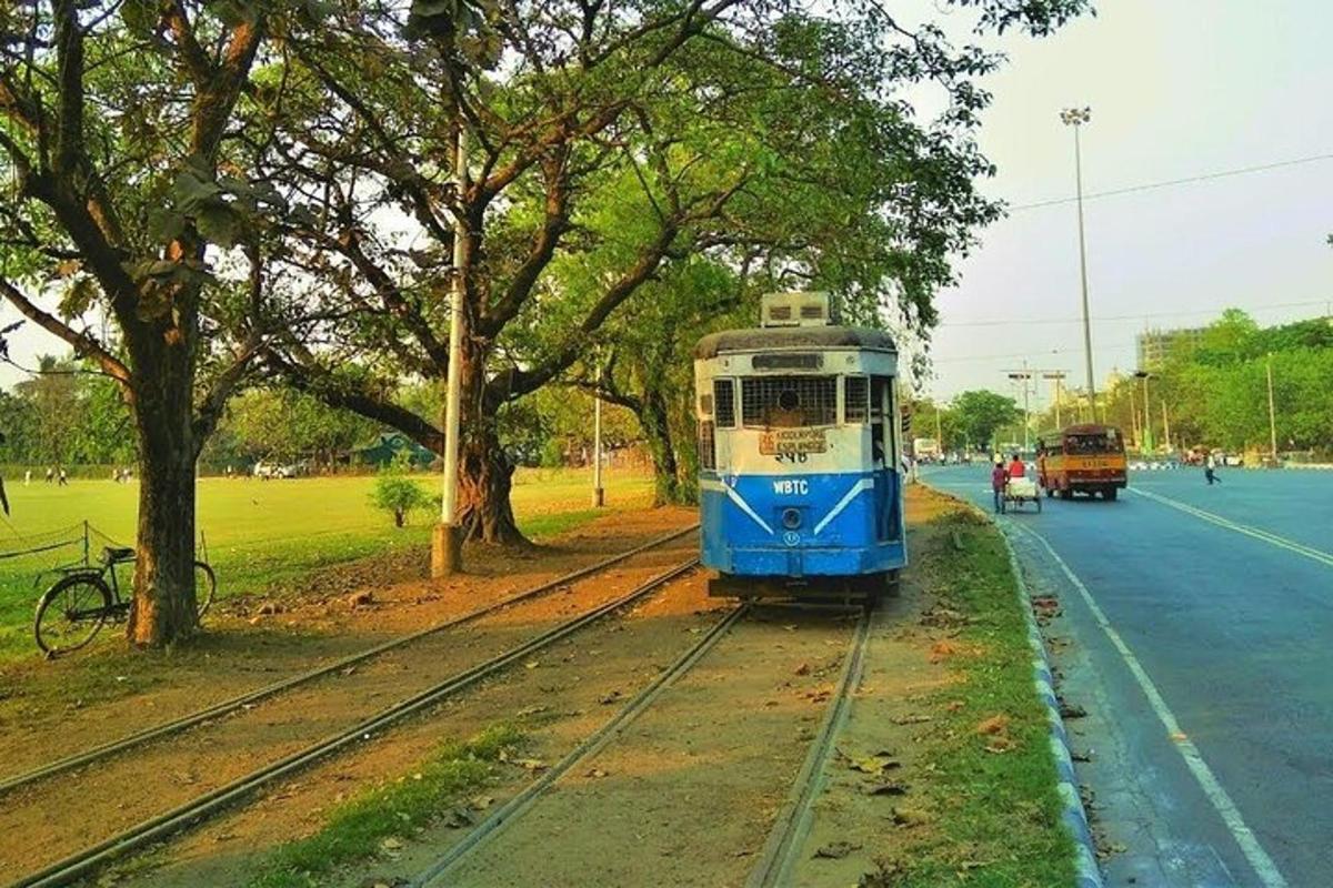 a blue and white tram on a street with trees