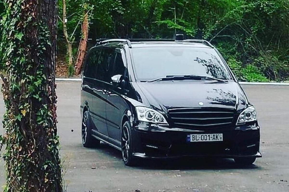 črn avto parkiran poleg drevesa