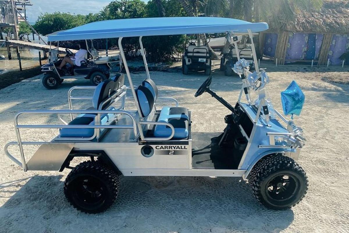 a golf cart with a blue top parked in the sand