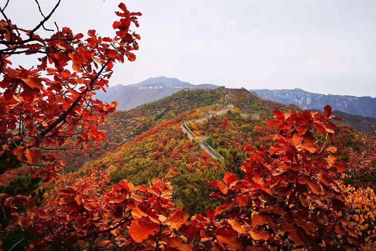 una vista de tardor d'una muntanya amb una carretera