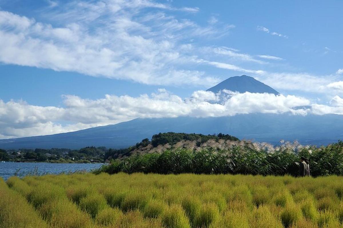 山を背景に野原に立っている男性