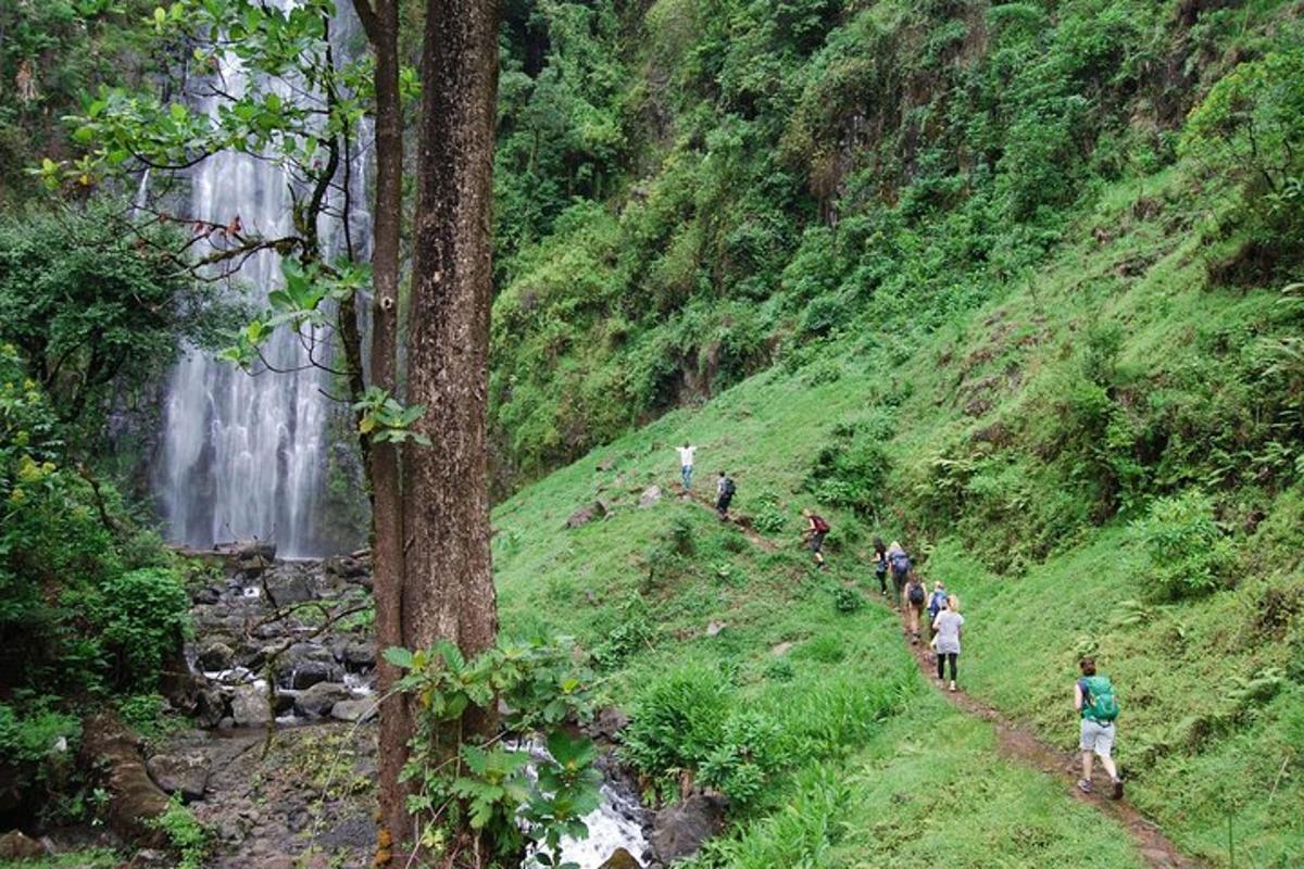 eine Gruppe von Menschen, die einen Hügel in der Nähe eines Wasserfalls hinaufgehen