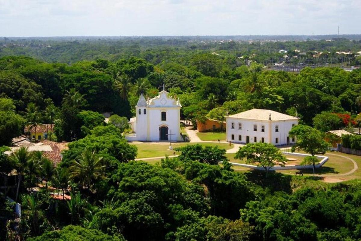 a large white building in the middle of a forest