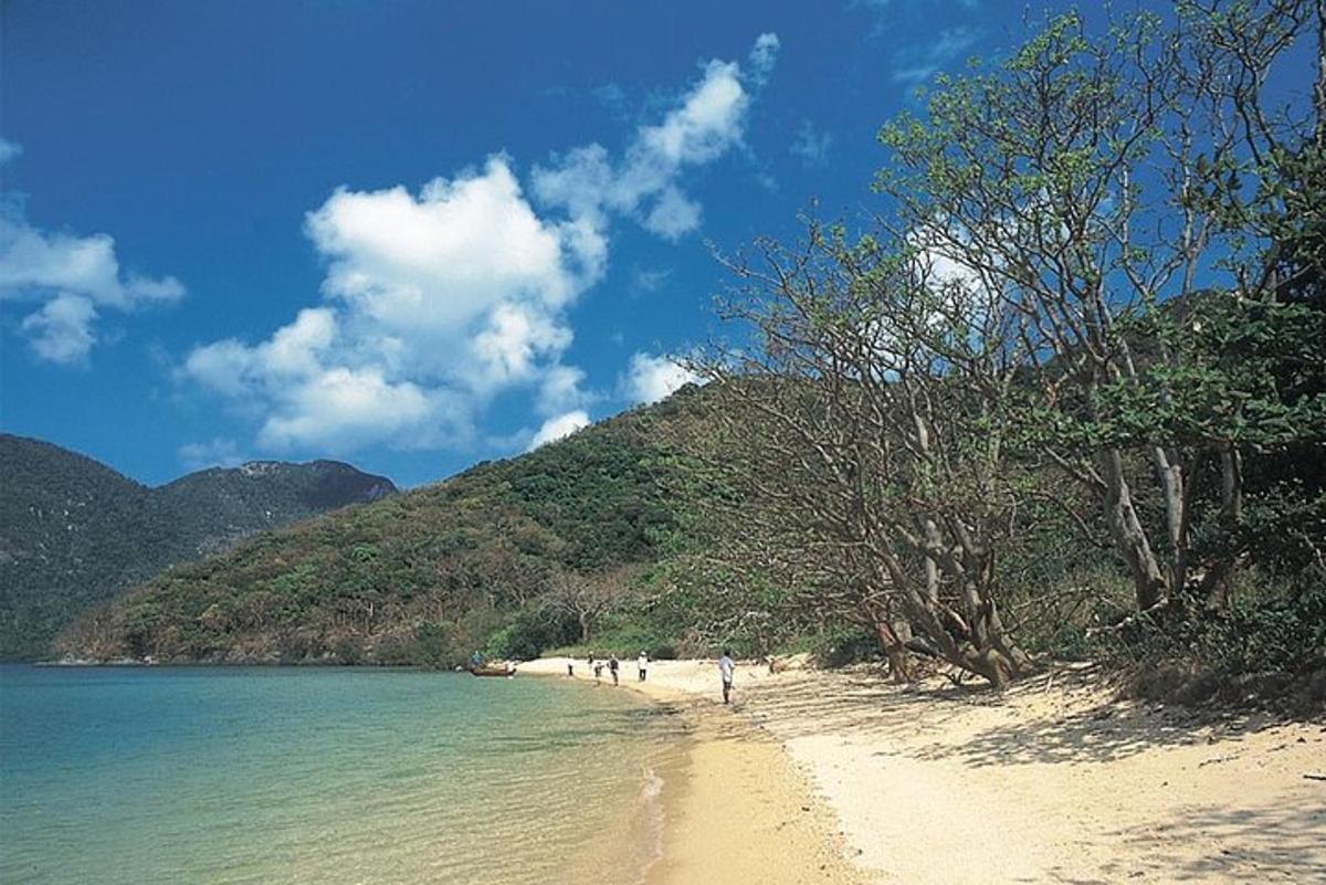 a group of people walking on a beach near the water