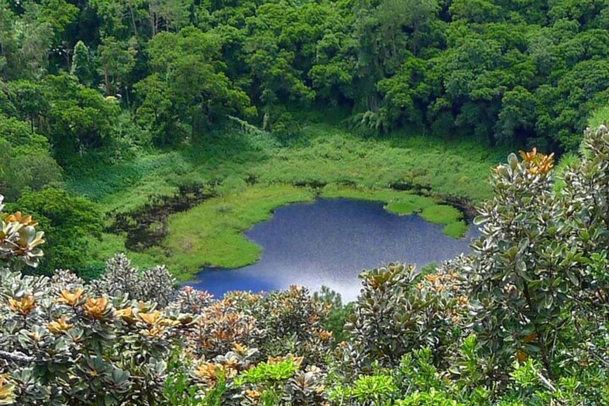 vista aèria d'un estany al mig d'un bosc