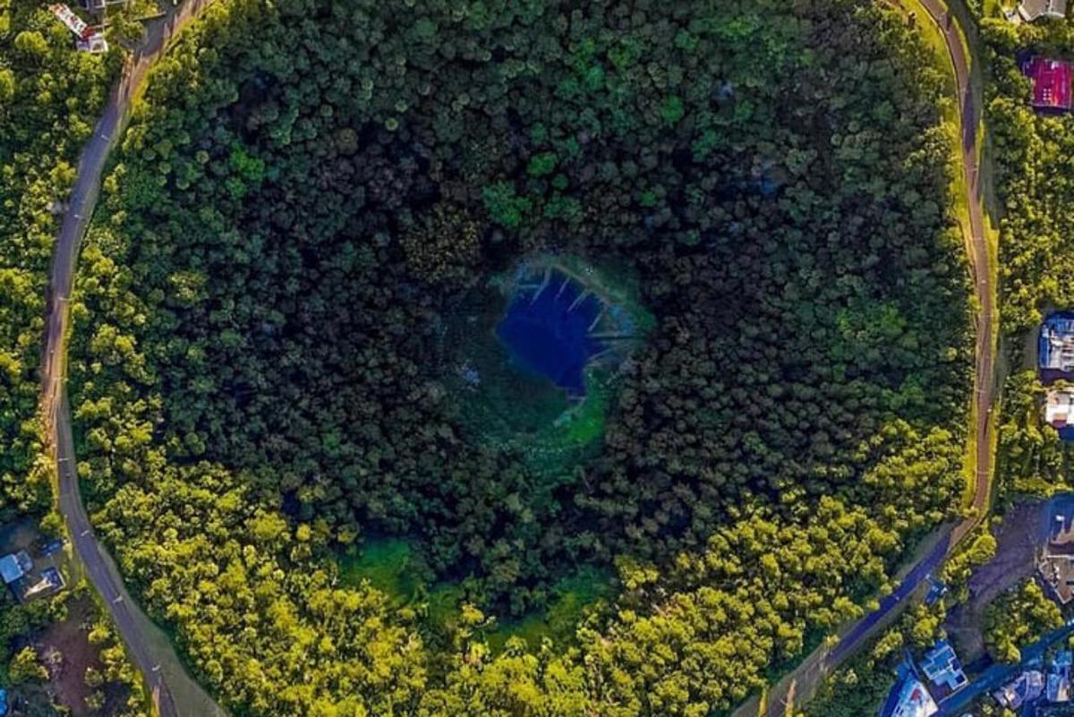 una vista cenital d'un cercle d'arbres i una carretera