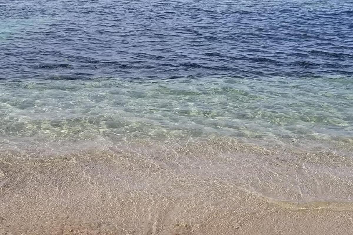 pohled na pláž s oceánem v pozadí
