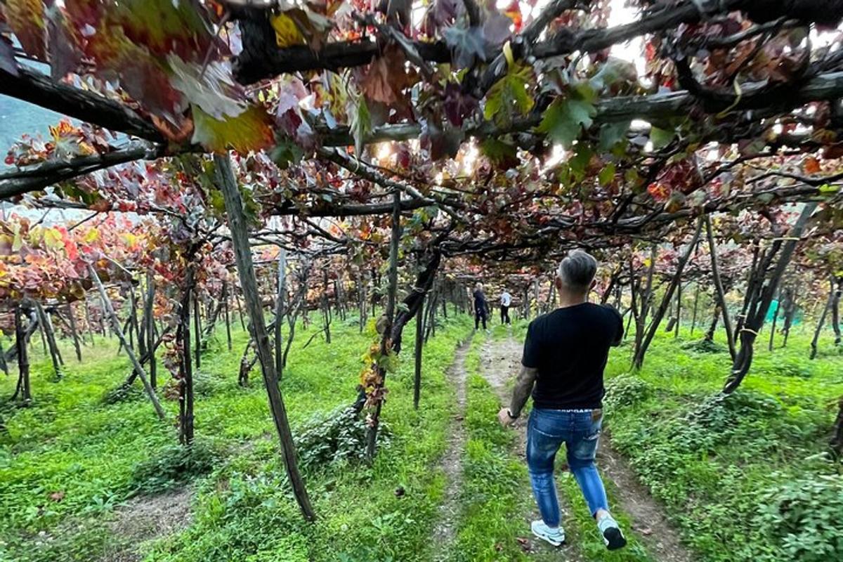 muž kráčajúci po prašnej ceste v lese