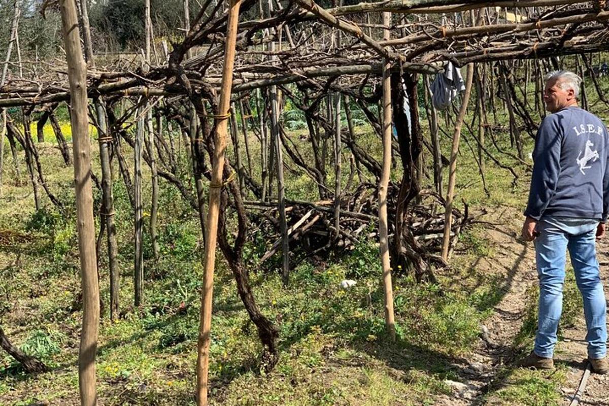 un home dret davant d'una estructura de fusta