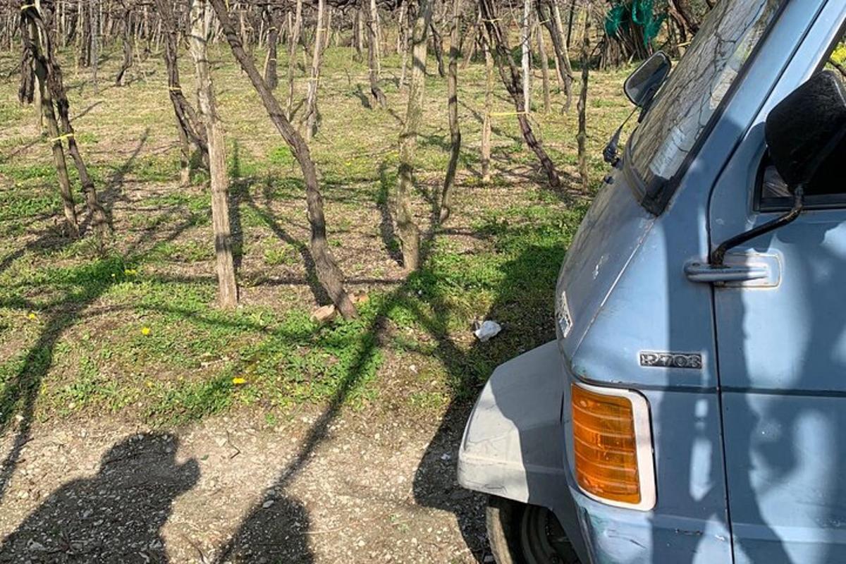 a blue van parked in front of a field
