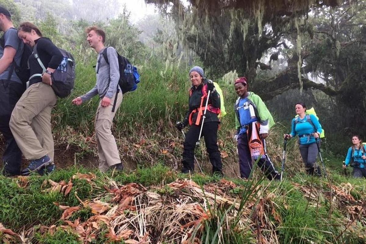 un grupo de personas caminando por la hierba