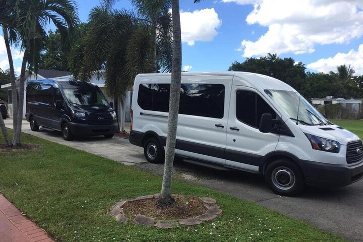 Una camioneta blanca estacionada junto a una palmera