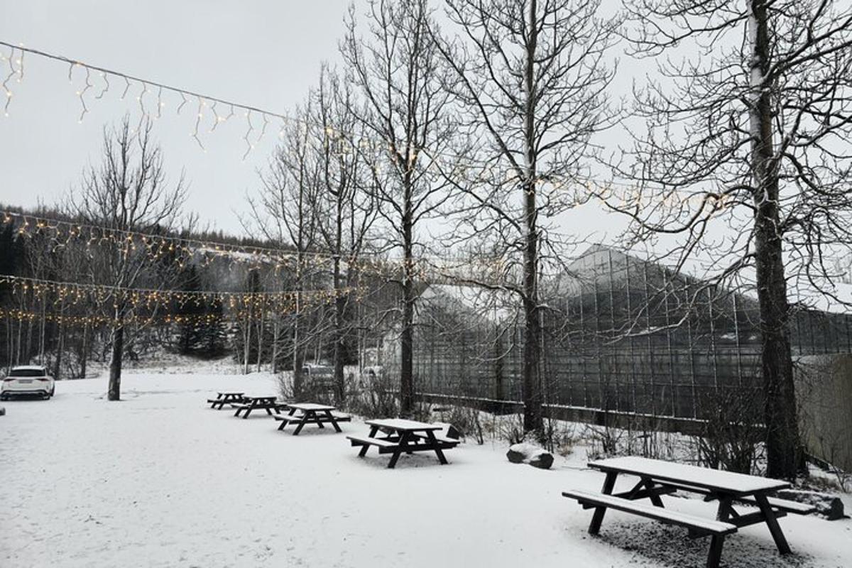 en gruppe piknikbenker i snøen