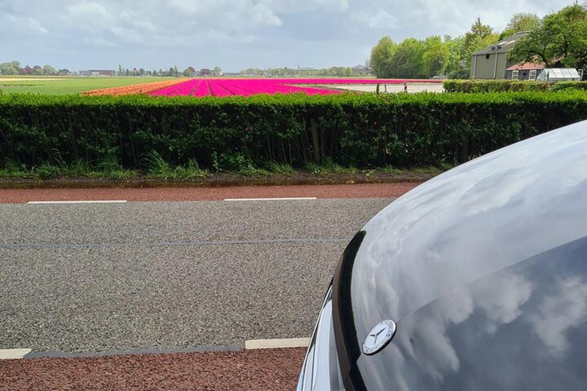 un'auto parcheggiata sul ciglio di una strada con un campo di fiori