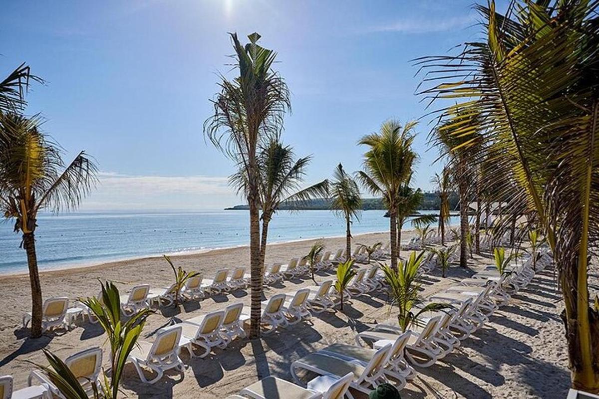 uma praia com cadeiras e palmeiras e o oceano