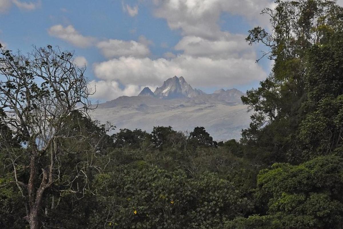 gunung di kejauhan dengan pokok di latar depan