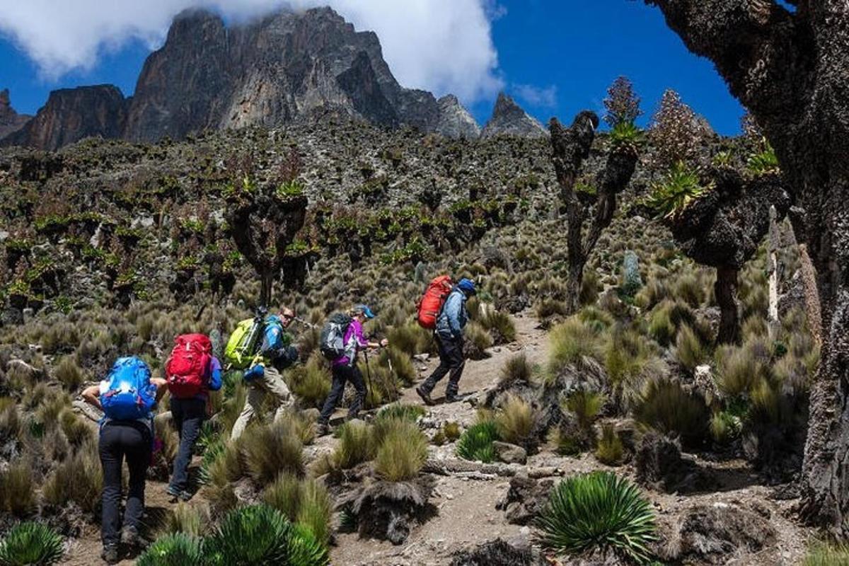 sekumpulan orang berjalan di atas denai gunung
