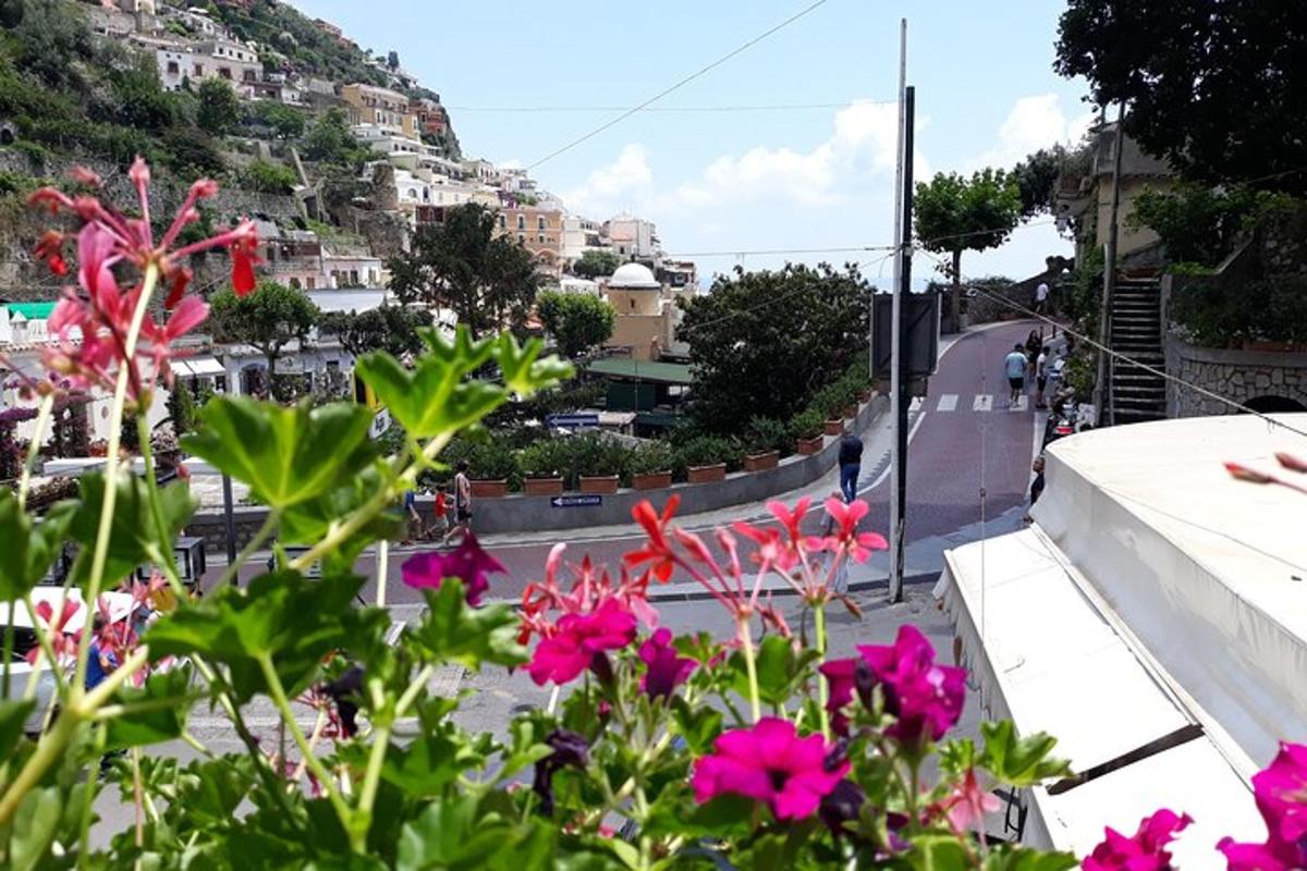 una vista di una città con fiori rosa