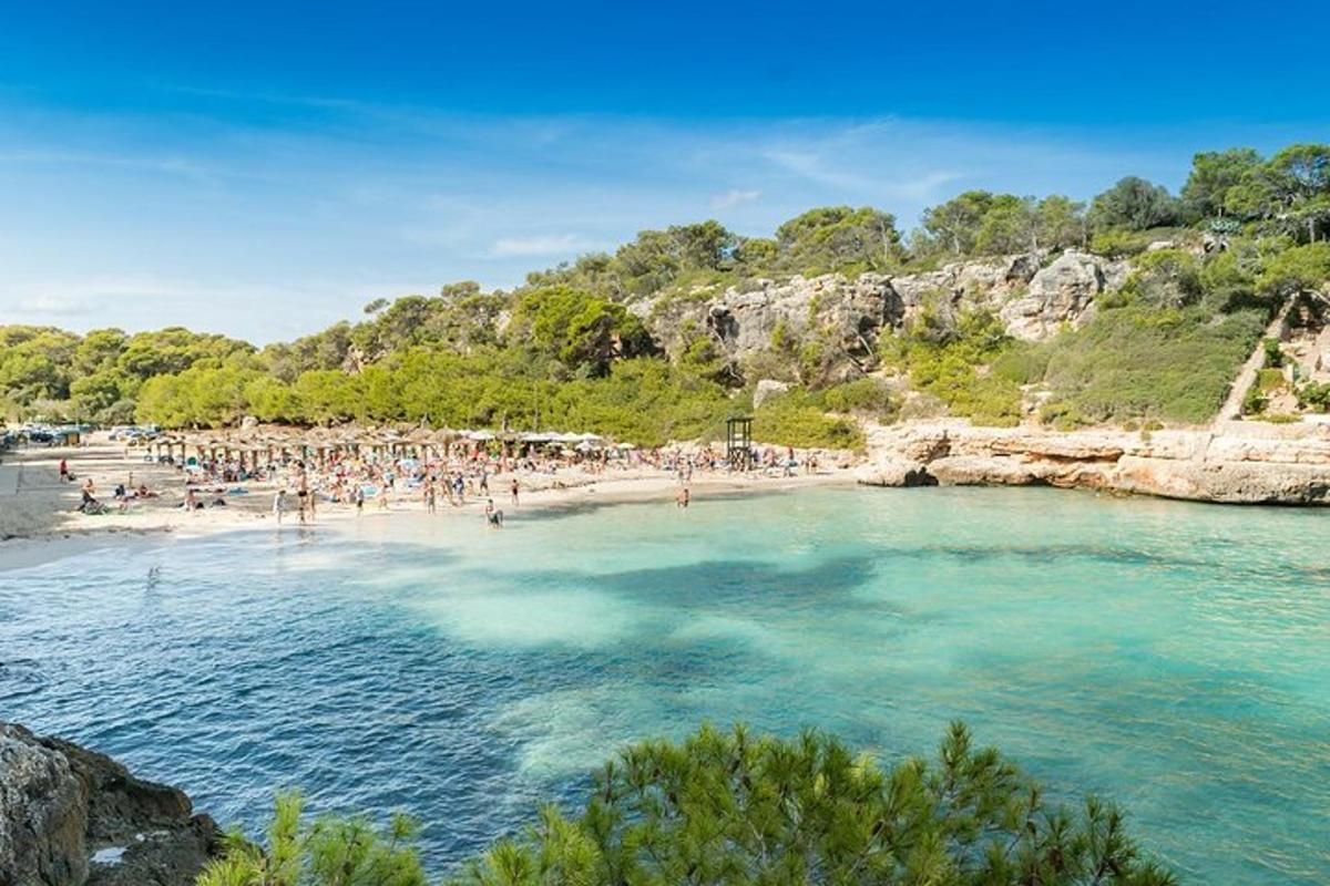un gruppo di persone su una spiaggia in acqua