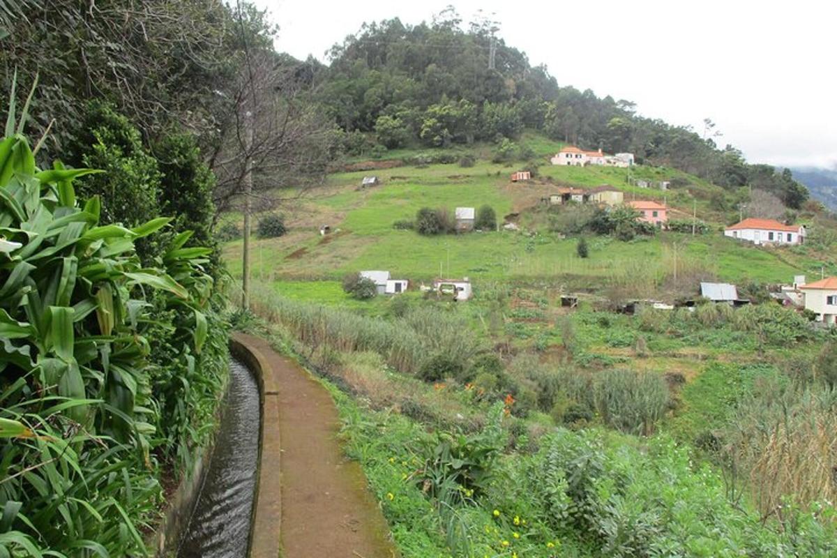 uma vista de uma colina com casas e um trem