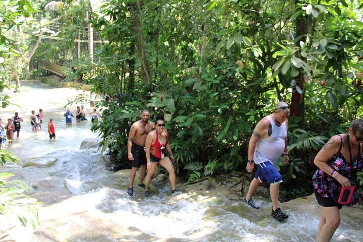 un gruppo di persone in piedi in un ruscello nella giungla