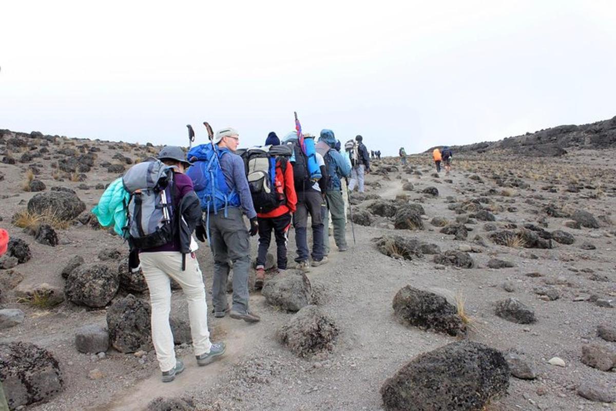 um grupo de pessoas caminhando em uma montanha rochosa