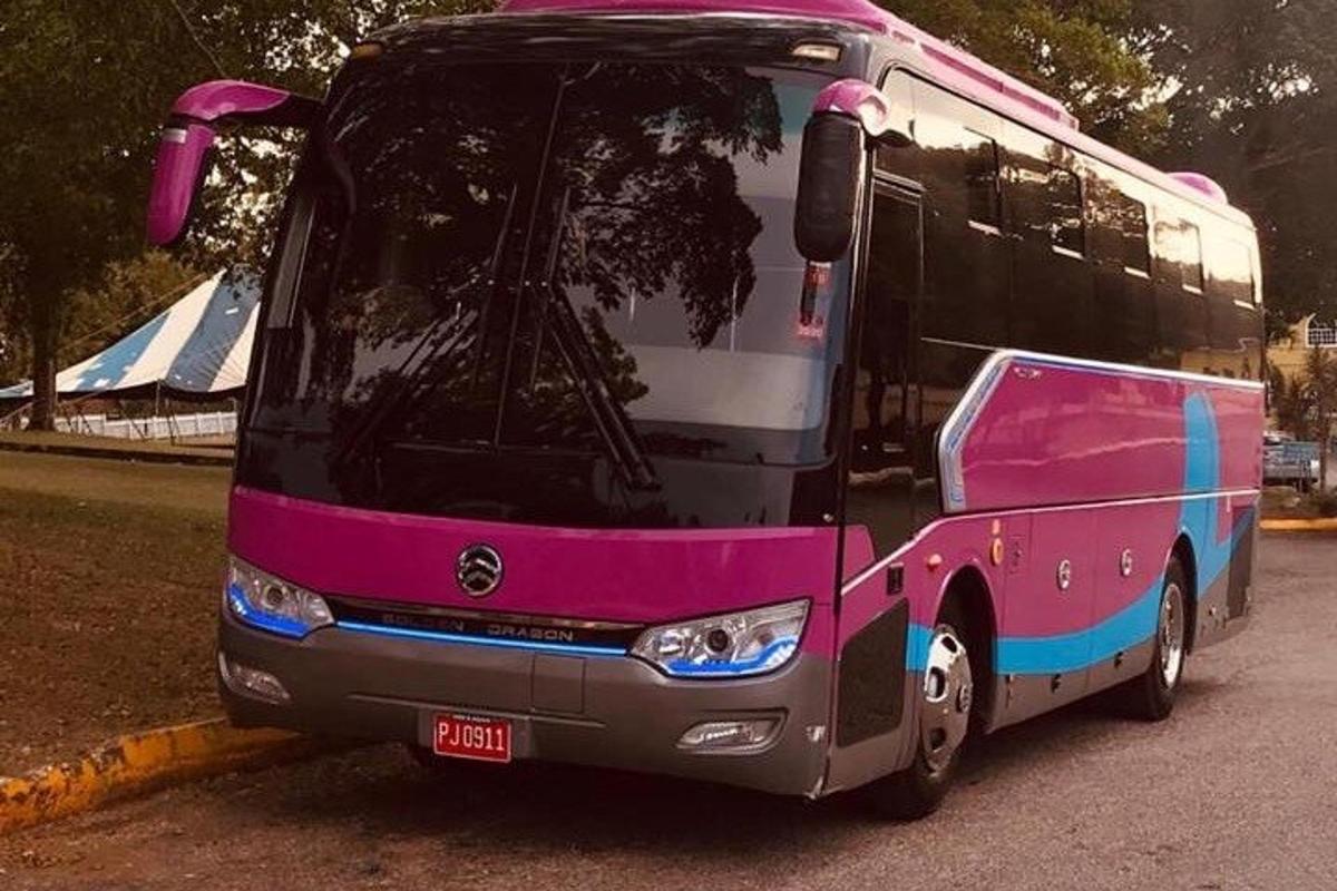 růžový autobus zaparkovaný na parkovišti