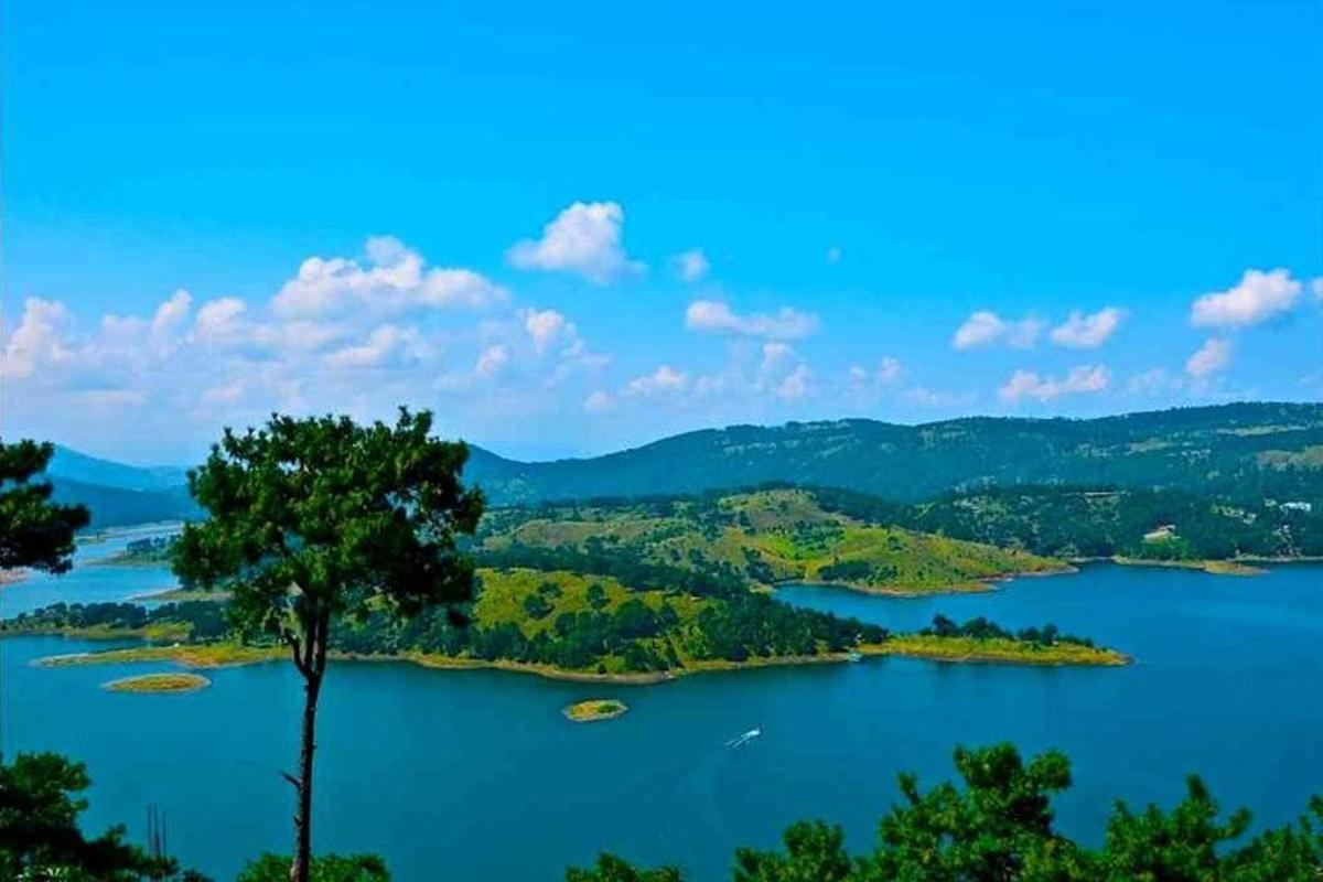 pemandangan tasik dengan pokok di latar depan
