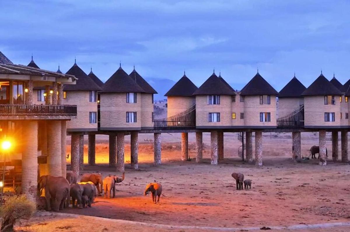 Un grupo de animales parados frente a un edificio.