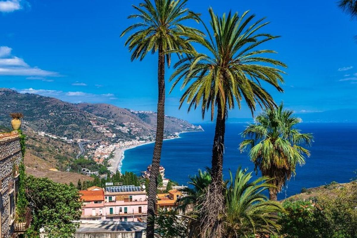 dues palmeres davant de l'oceà