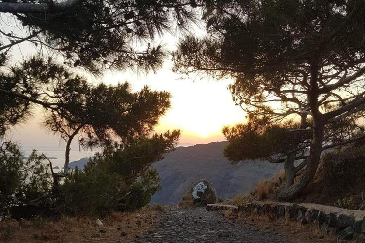 طريق به أشجار على جانب الجبل