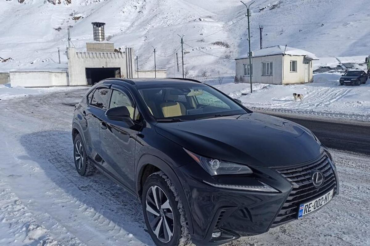 一辆黑色汽车停在积雪覆盖的道路上