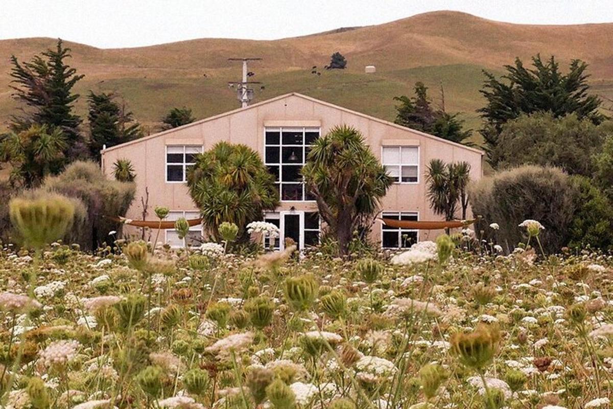 a house in the middle of a field of flowers