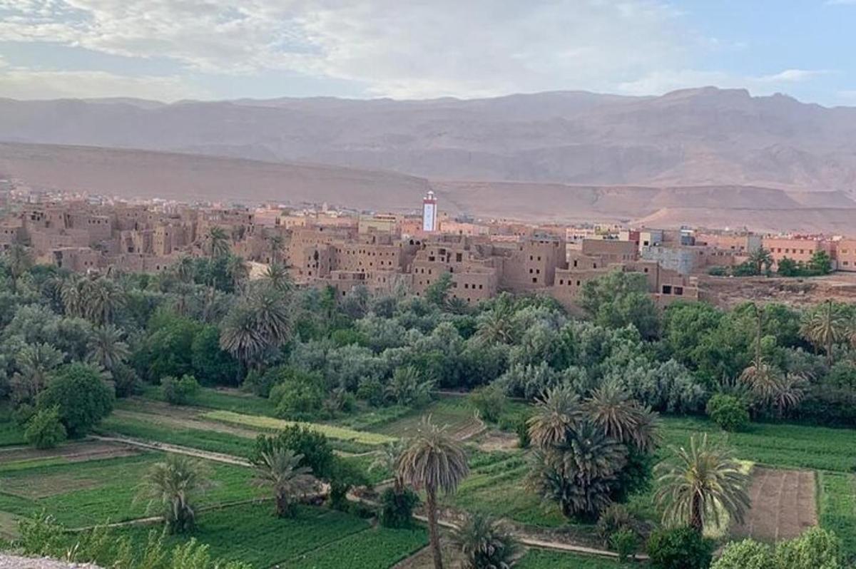 una vista d'una ciutat amb palmeres i edificis