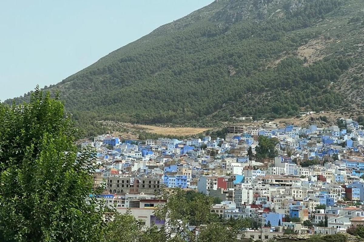 uma cidade com edifícios azuis em uma montanha