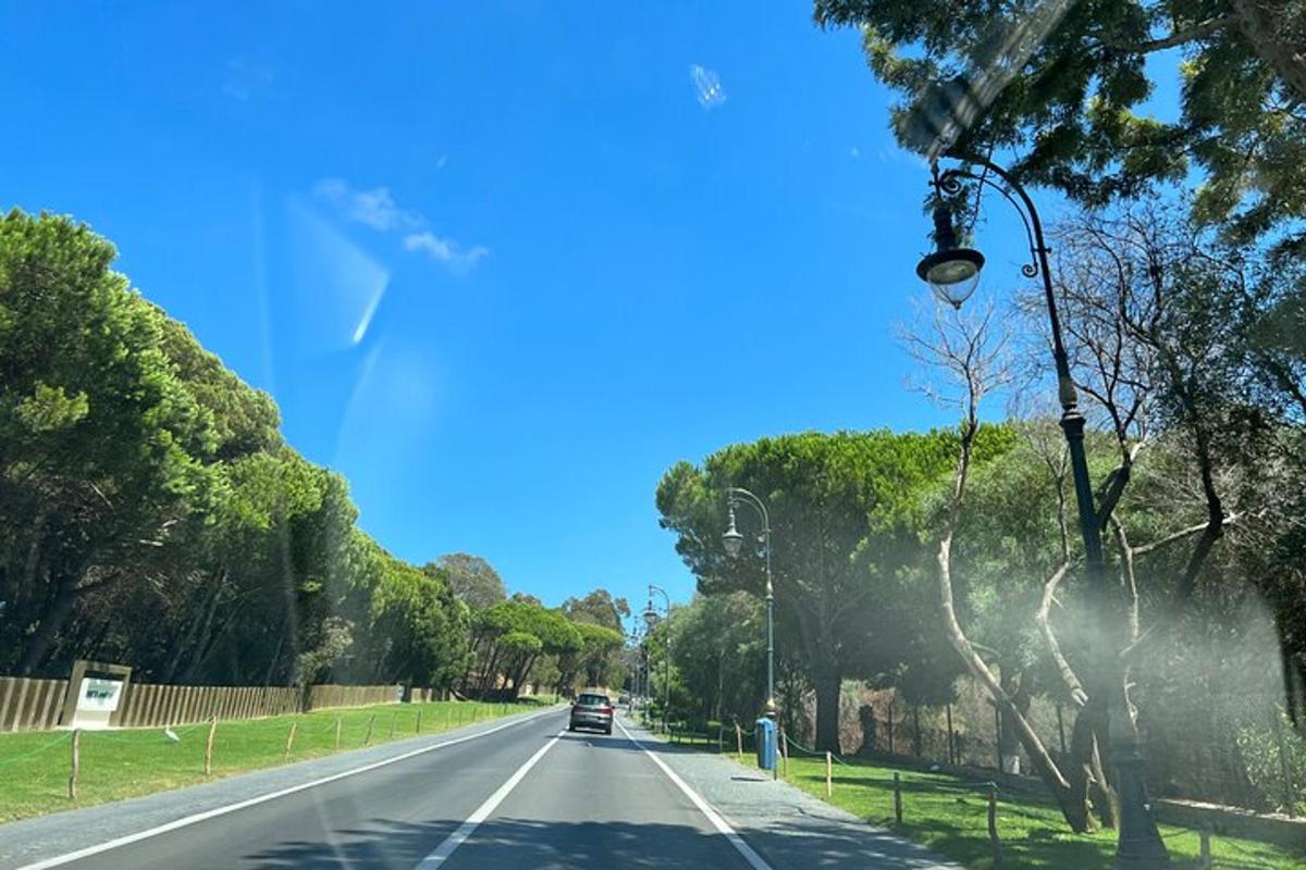 um carro dirigindo por uma estrada com árvores