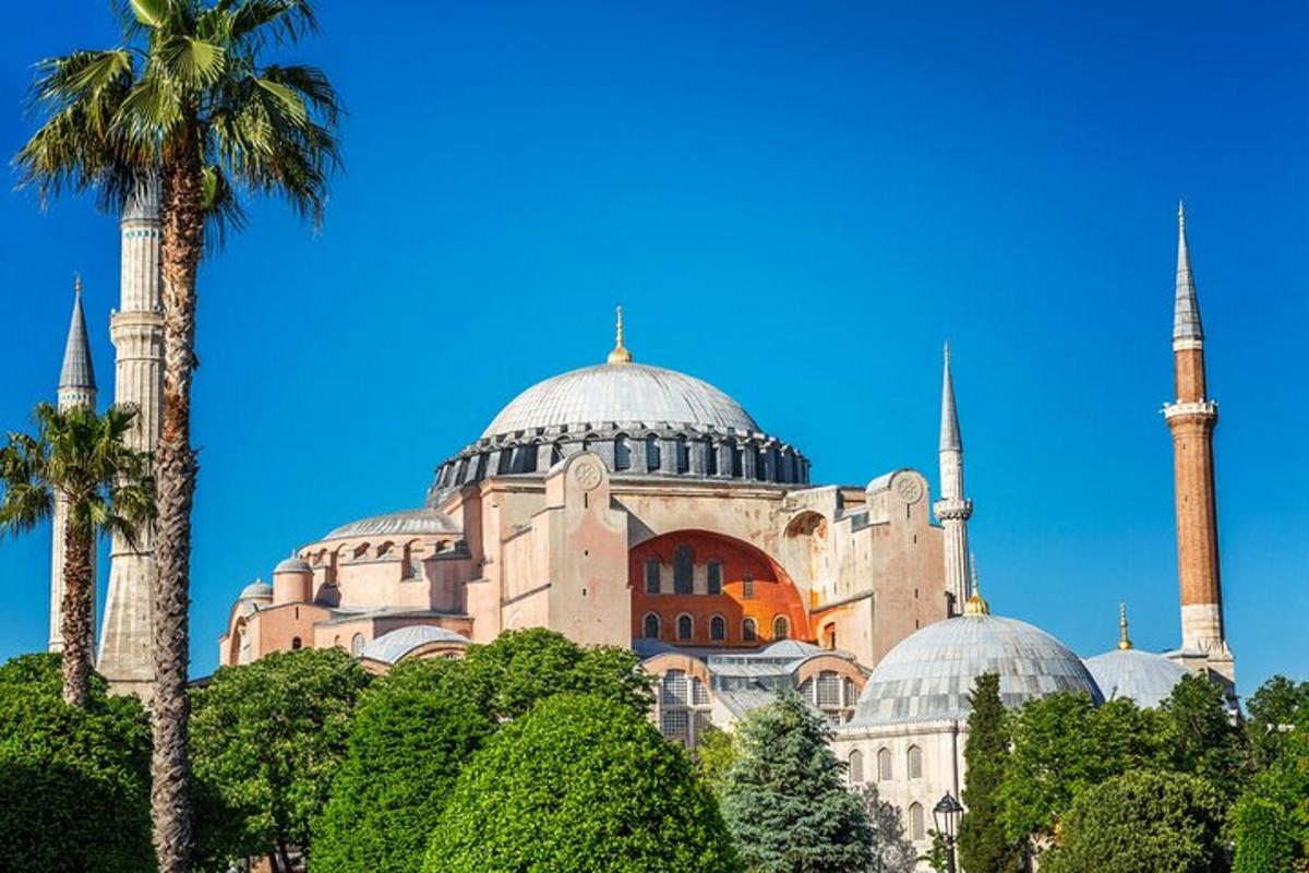 un edificio con cupole e una moschea con una palma