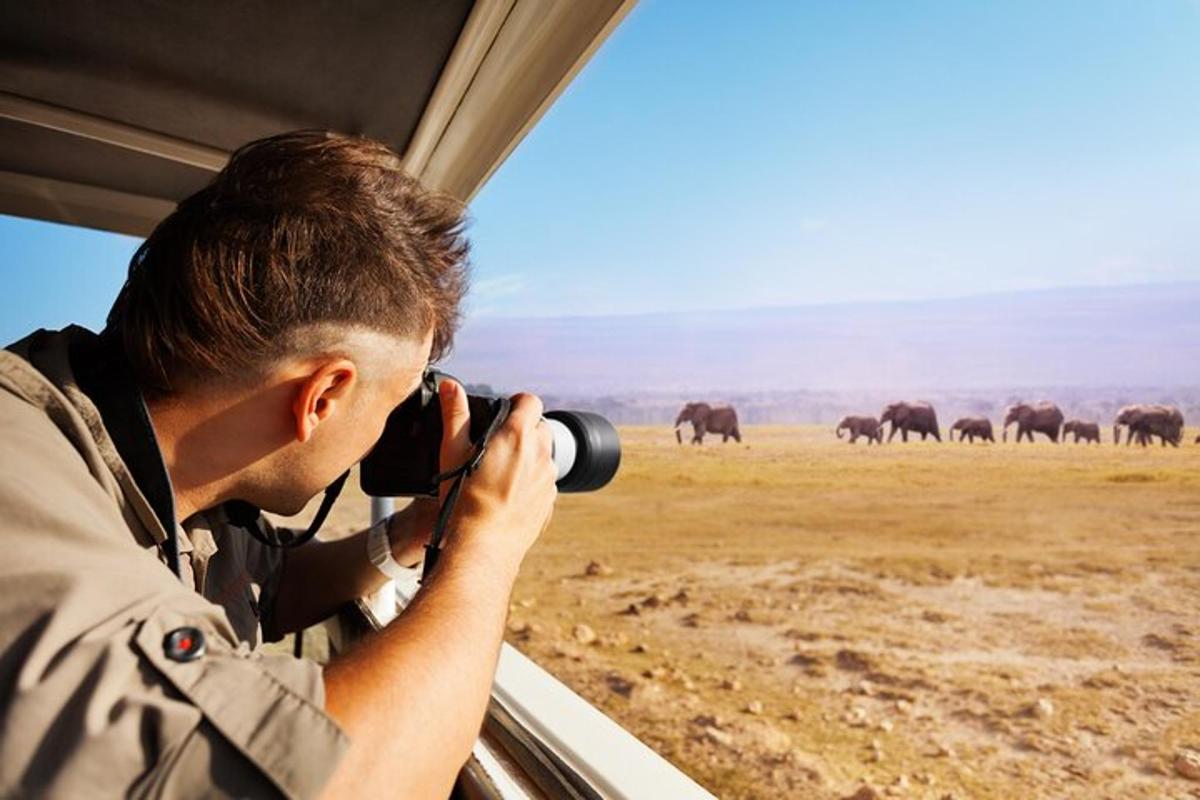 seorang lelaki mengambil gambar sekawan gajah