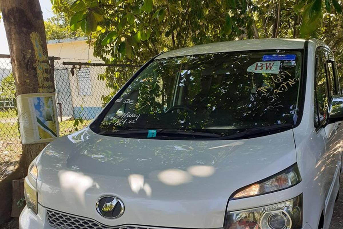 malé bílé auto zaparkované vedle stromu