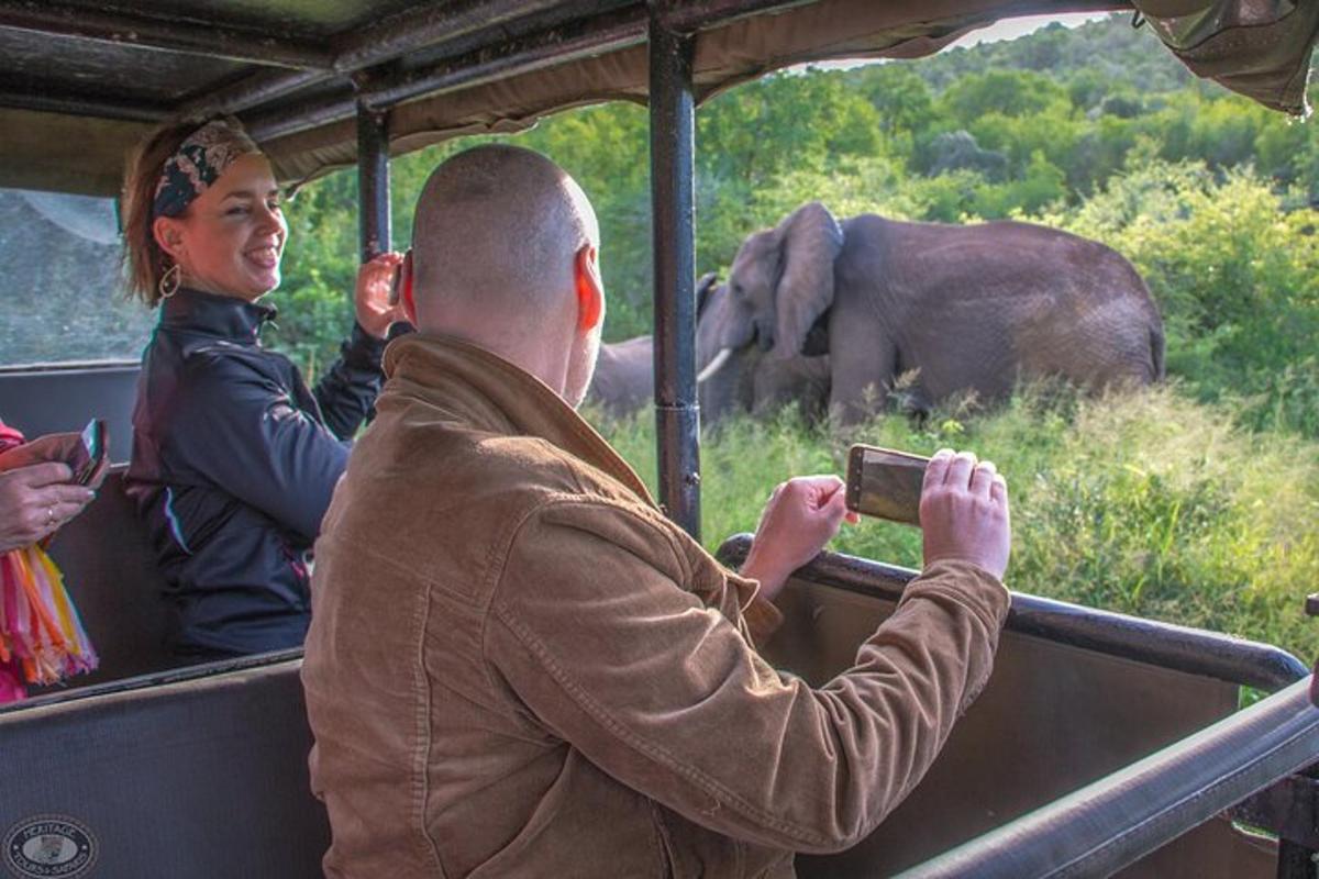 a man taking a picture of an elephant