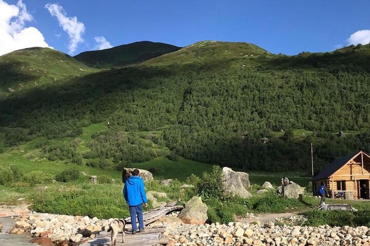 seseorang dengan anjing melihat gunung