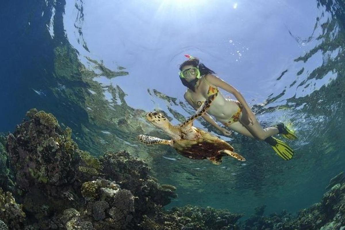 dua orang berenang di dalam air berhampiran terumbu karang