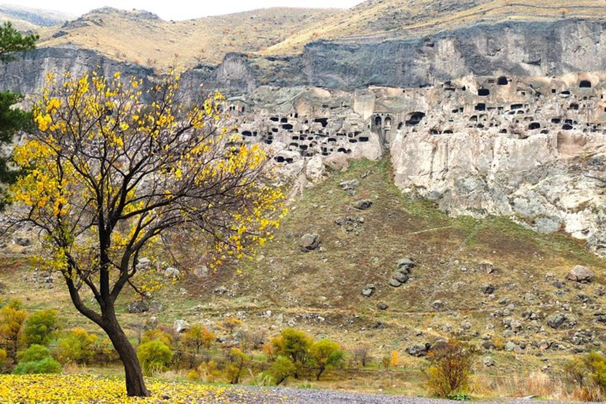 ένα δέντρο μπροστά από ένα βουνό με μια ομάδα αγελάδων