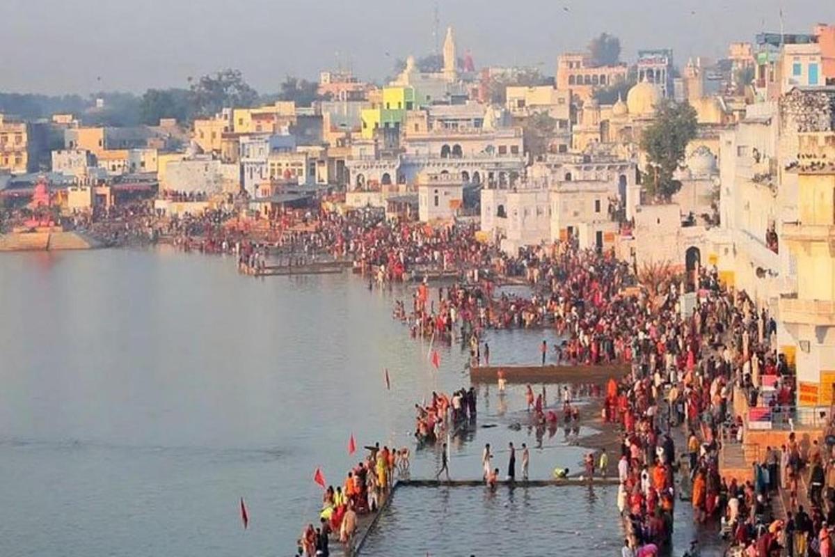a large group of people standing in the water