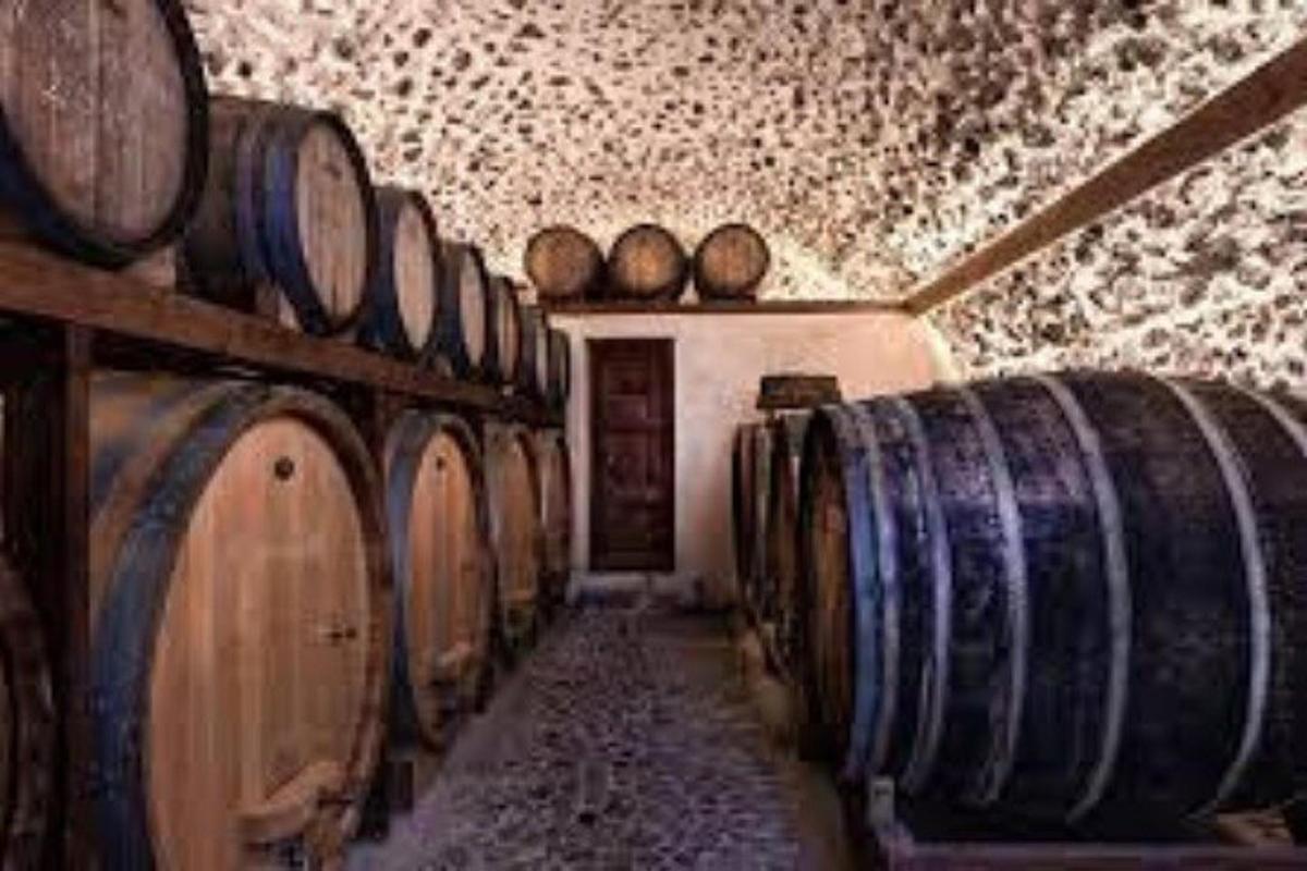 una fila di botti di vino in una cantina