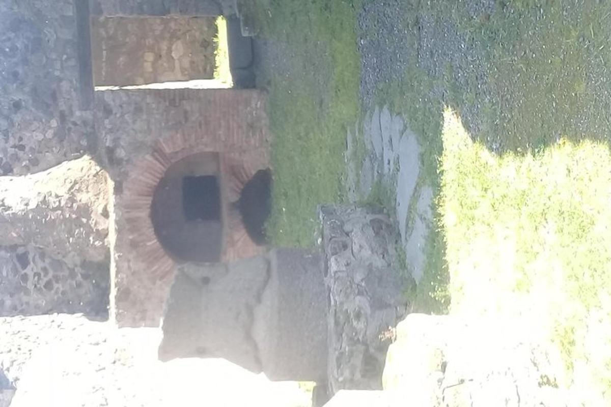 一只鸟坐在建筑物的侧面