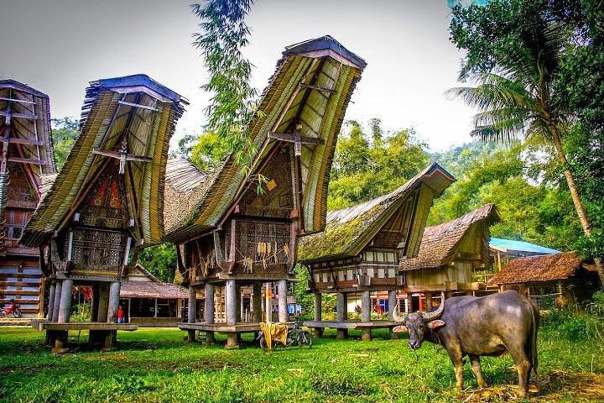 a cow standing in the grass in front of a building