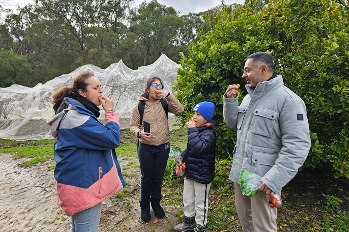 un gruppo di persone in piedi davanti agli alberi